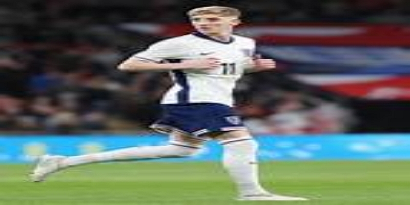 亚新体育战术解读：贝尼特斯体系下的角色重塑-亚新体育